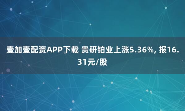 壹加壹配资APP下载 贵研铂业上涨5.36%, 报16.31元/股