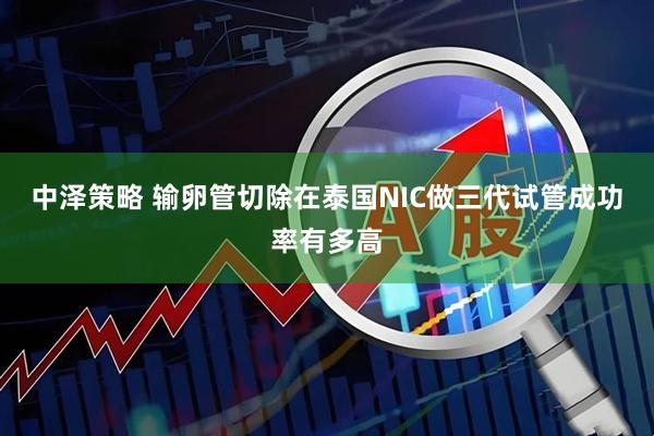 中泽策略 输卵管切除在泰国NIC做三代试管成功率有多高