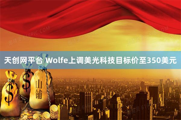 天创网平台 Wolfe上调美光科技目标价至350美元