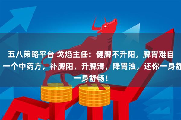 五八策略平台 戈焰主任：健脾不升阳，脾胃难自强！一个中药方，补脾阳，升脾清，降胃浊，还你一身舒畅！