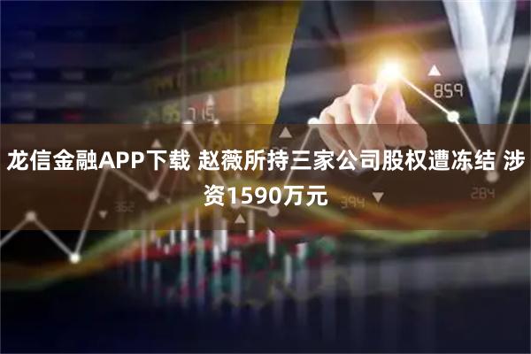 龙信金融APP下载 赵薇所持三家公司股权遭冻结 涉资1590万元