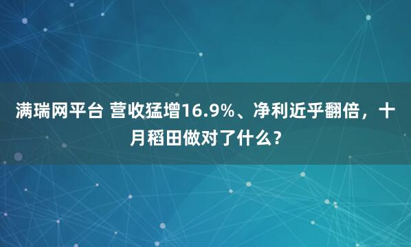 满瑞网平台 营收猛增16.9%、净利近乎翻倍，十月稻田做对了什么？