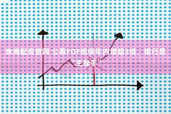 珠海配资官网 公募FOF规模年内增超3倍，银行是“主推手”